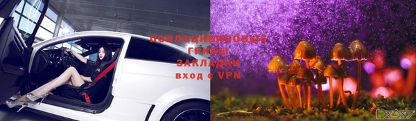 сатива Алексеевка