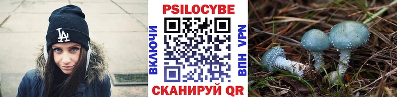 Купить где Моздок Псилоцибиновые грибы Magic Shrooms