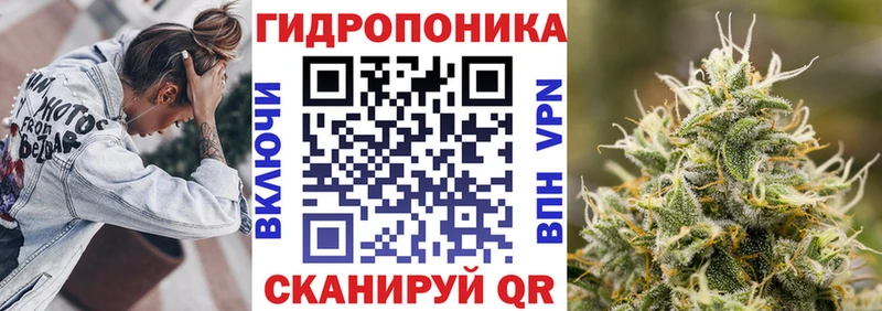 Купить закладки  Моздок  МАРИХУАНА ГИДРОПОН 